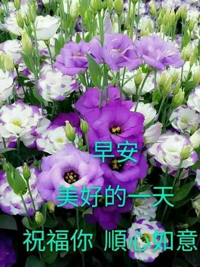按我可連結至更清楚的圖片